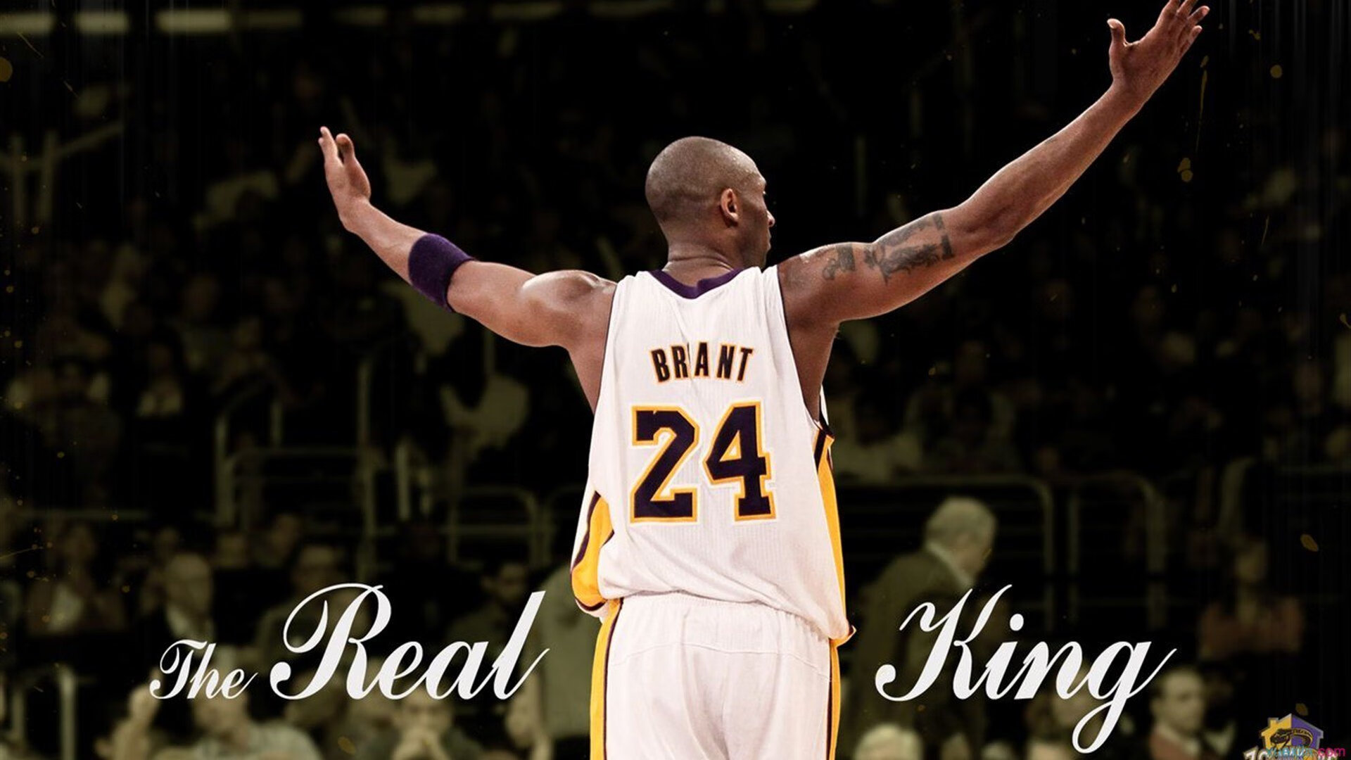 新秀挑战联盟巨星